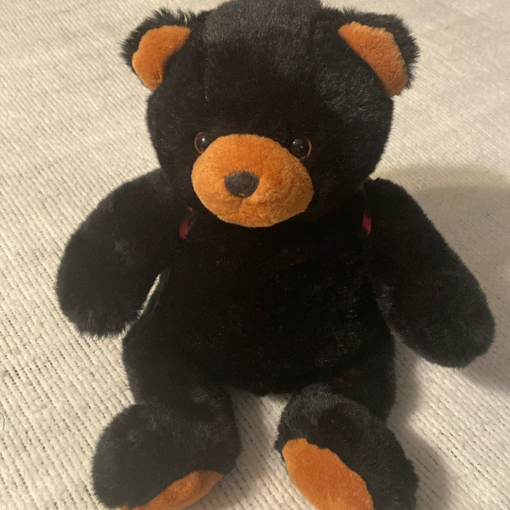 Lovable Teddy Bear